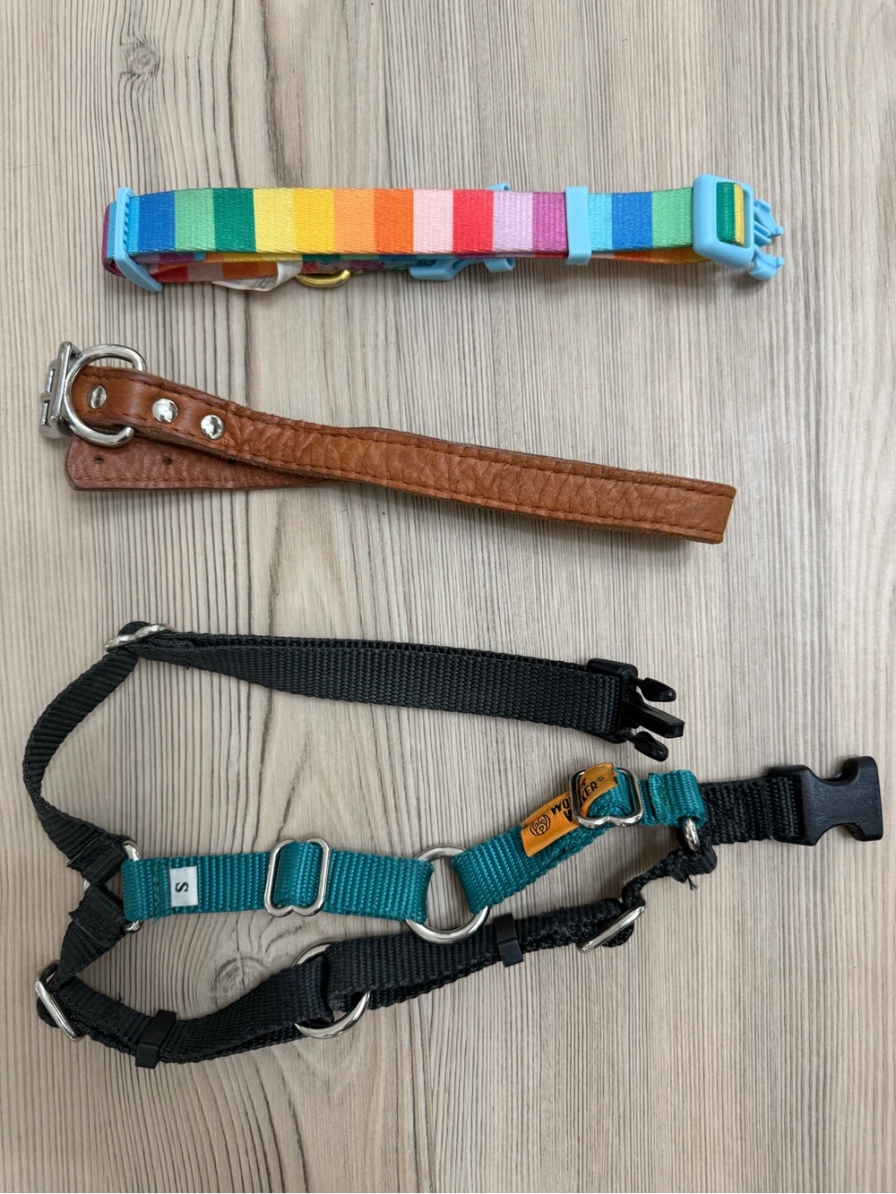 Small Dog Collar & Harness Lot